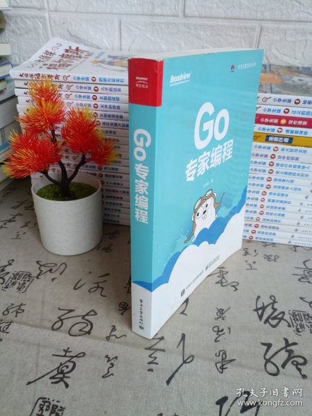 Go专家编程(博文视点出品)