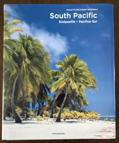 South Pacific 南太平洋 大洋洲岛屿世界的自然美景 崎岖的美景 孤独的棕榈岛