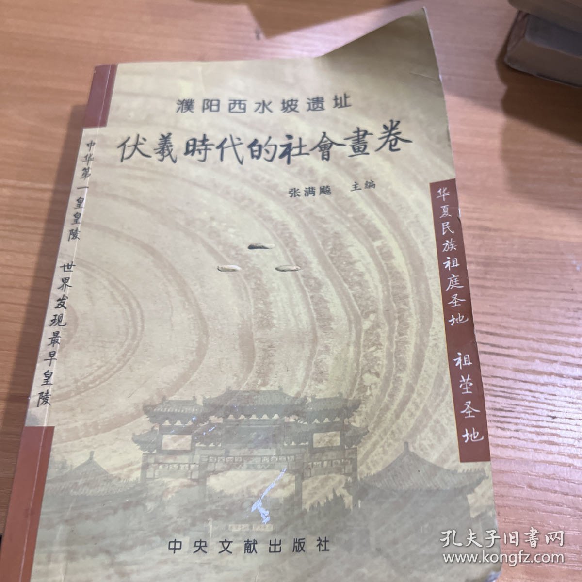 濮阳西水坡遗址：伏羲时代的社画卷