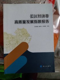 长江经济带高质量发展指数报告（b16开25）