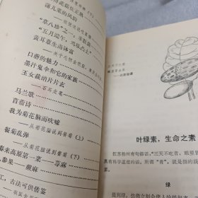 蔬食斋随笔第二集