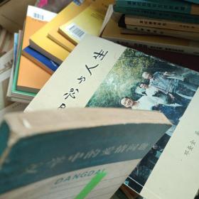 文学中的爱情问题