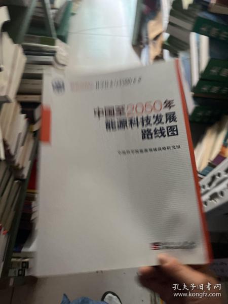 科学技术与中国的未来：中国至2050年能源科技发展路线图