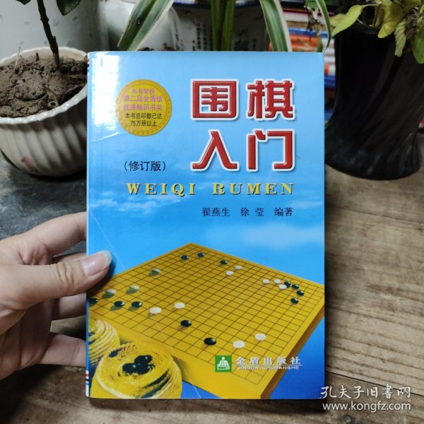 围棋入门（修订版）