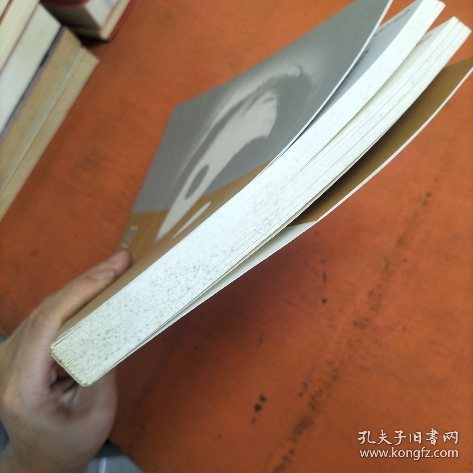 赵堡太极拳图说