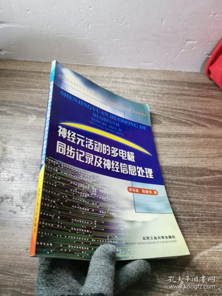 神经元活动的多电极同步记录及神经信息处理