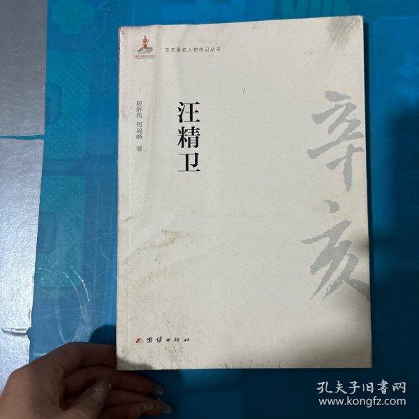 辛亥著名人物传记丛书：汪精卫