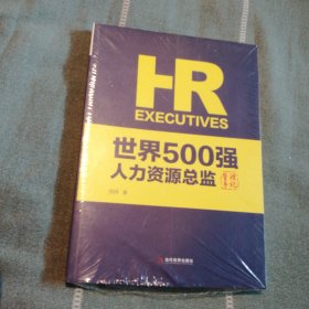 世界500强人力资源总监管理手记