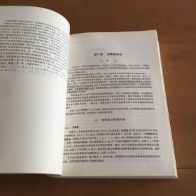 高级微观经济学(21世纪经济学系列教材) 上册