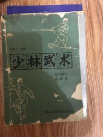 少林武术 连手短打 达磨杖