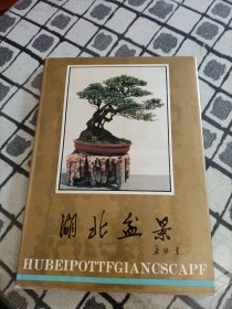 湖北盆景——《花木盆景》杂志增刊 16开精装本 ＊