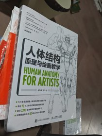 人体结构原理与绘画教学