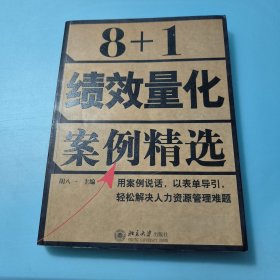 8+1绩效量化案例精选