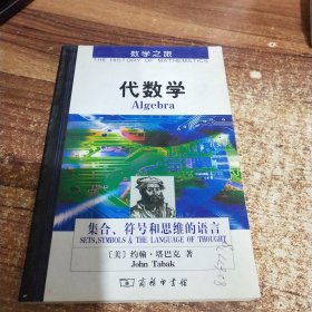 代数学：集合、符号和思维的语言