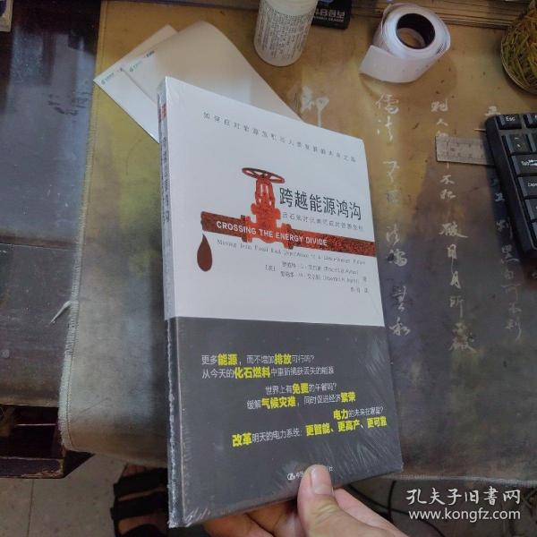 跨越能源鸿沟：后石油时代如何应对能源危机