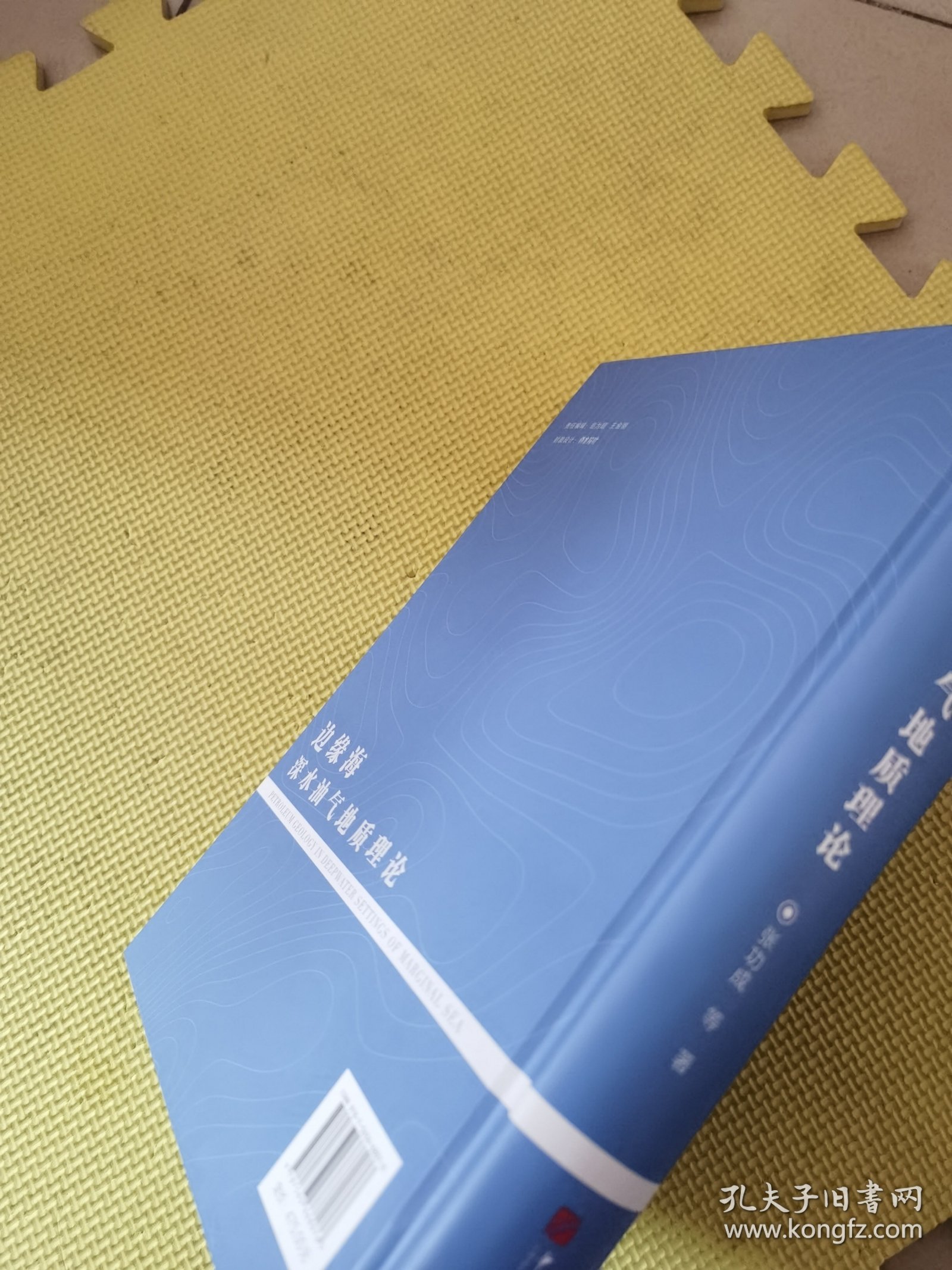 边缘海深水油气地质理论