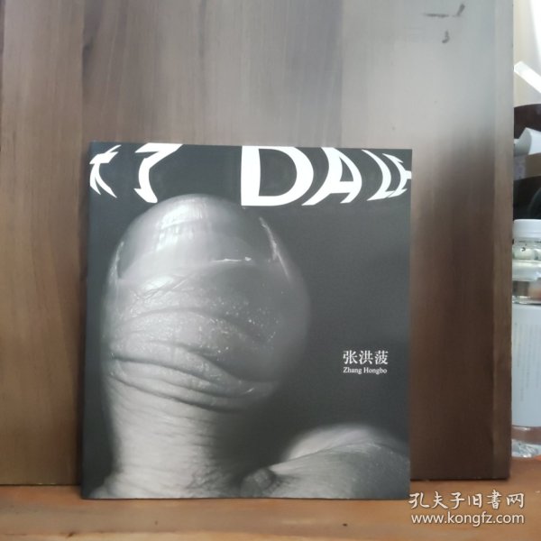 大了——张洪菠 作品（画集）