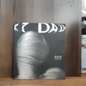 大了——张洪菠 作品（画集）