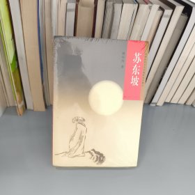 中国历代文人长篇传记小说：苏东坡