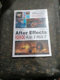 AfterEffects2020从新手到高手（从新手到高手）