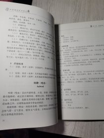 壮医病证诊疗规范/中国东盟传统医药文库
