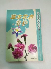 草本花卉 养护