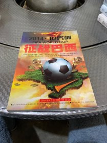 2014 世界杯 征战巴西