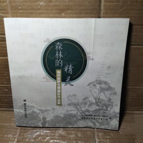 森林的精灵——南华县野生菌摄影作品集
