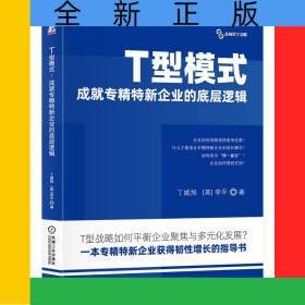 T型模式