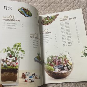 苔藓微景观魔法书【魔法DIY打造苔藓微景观，让您成就感爆棚】