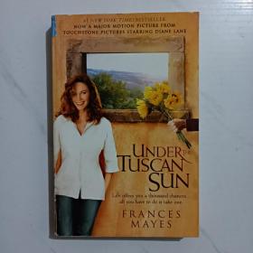 Under the Tuscan Sun：At Home in Italy  托斯卡纳艳阳下