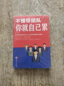 不懂带团队你就自己累（全新未拆封）