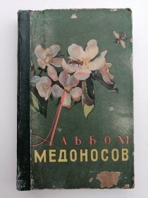 АЛbБОМ МЕДОНОСОВ 蜜源植物图册（养蜂专业用书）