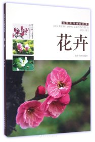 画家实用摄影图集-花卉
