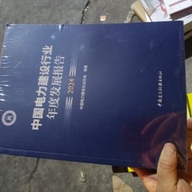 中国电力建设银行年度发展报告2024