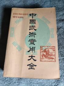 中国武术实用大全: 全书包括中国武术概论、武术技法原理、武术教学与训练、拳种流派、古今兵械、武术实用功法、武术拳械基本技术技法、武术攻防基本技术技法和习武常识九编 (正版) 一版一印 有详图