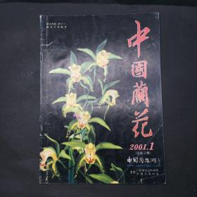 中国兰花 2001 1