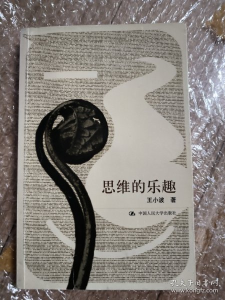 思维的乐趣