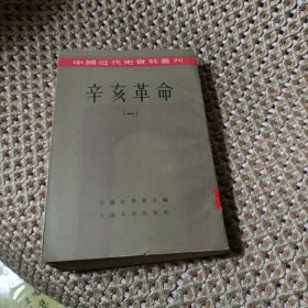 中国近代史从刊：辛亥革命（一）