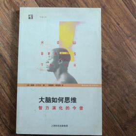 大脑如何思维：智力演化的今昔