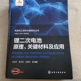 先进化工材料关键技术丛书--锂二次电池原理、关键材料及应用