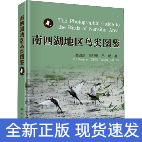 南四湖地區(qū)鳥類圖鑒
