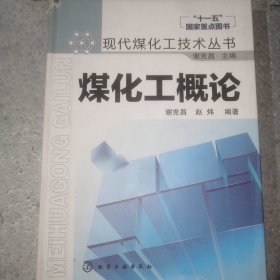 现代煤化工技术丛书：煤化工概论