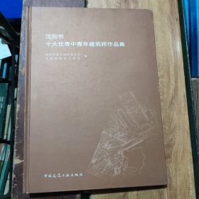 沈阳市十大优秀中青年建筑师作品集