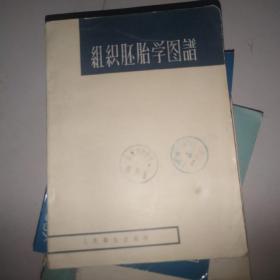 组织胚胎学图谱人民卫生出版社