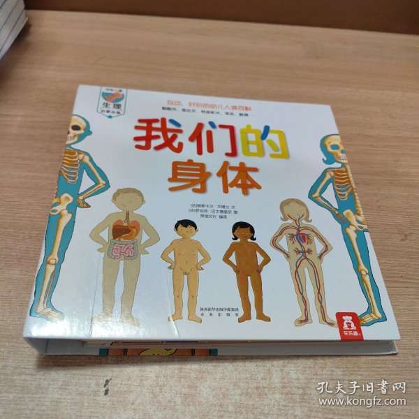 我们的身体