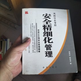 安全精细化管理:世界500强安全管理精要