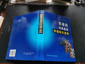 癌基因抑癌基因肿瘤相关基因（正版现货，内页无字迹划线）