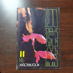 小说林 1986年 第11期