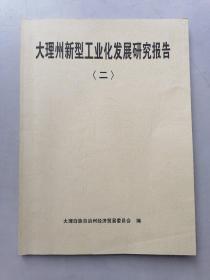 大理州新型工业化发展研究报告（二）内有划线。